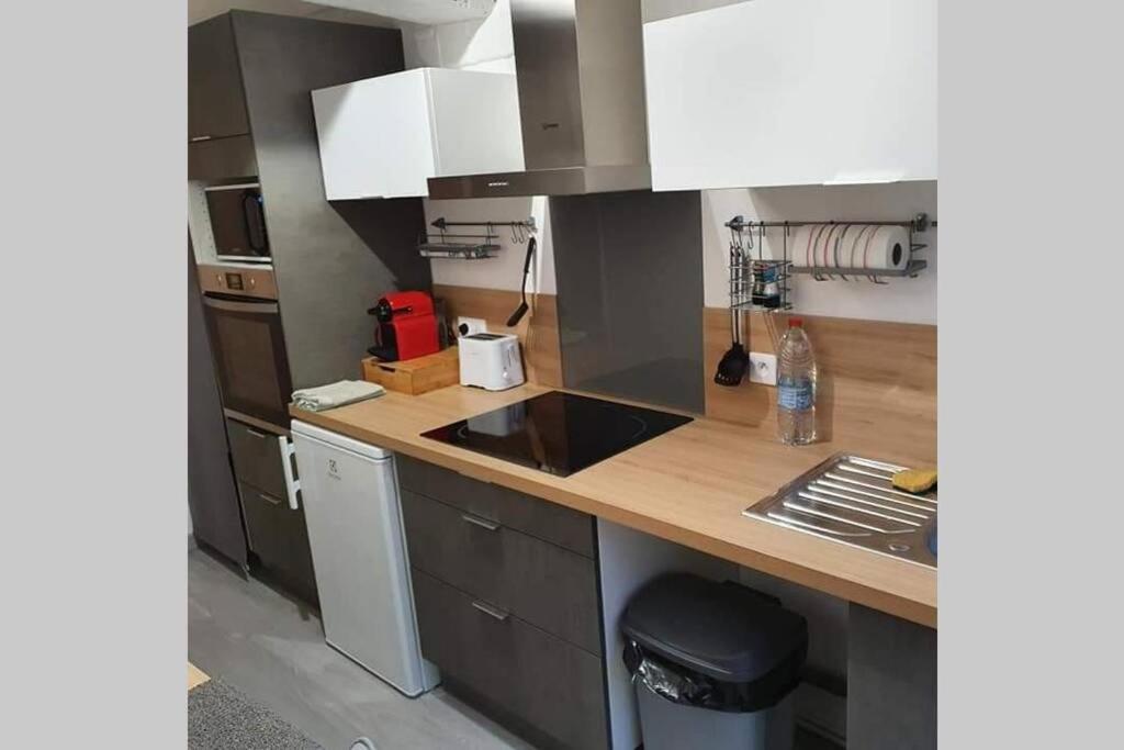 Appartement Avec Jardin Hyper Entre Valenciennes Bagian luar foto